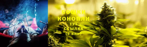 PSILOCYBIN Вязники